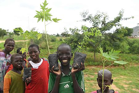 Junge Flüchtlinge kehren nach Hause zurück, nachdem die Baumschule im Flüchtlingslager Minawao, Kamerun, Jungpflanzen verteilt hat. Das Projekt "Make Minawao green again" zielt darauf ab, die Abholzung im Lager und den umliegenden Dörfern rückgängig zu machen. Das Projekt "Make Minawao green again" zielt darauf ab, die Abholzung im Lager und den umliegenden Dörfern rückgängig zu machen. 